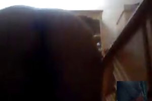 Εραστής με ένα ωραίο πουλί, πηδάει έναν ύπνο