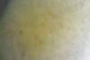 Γυναίκες ηλικίας οργάνωσαν μια ομάδα για σεξ με ένα τεράστιο πουλί