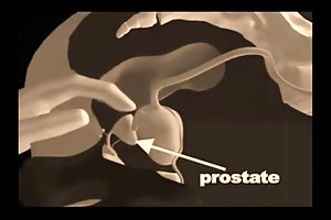 Μακρυμάλλης ξανθιά έρχεται για επίσκεψη και πήδαγε από τον κώλο