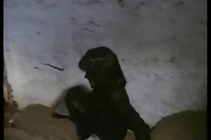 Μεγάλα βυζιά στην οθόνη