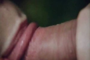 Καμήλα με τεράστια στήθη